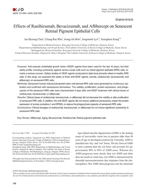 Pdf Effects Of Ranibizumab Bevacizumab And Aflibercept On Senescent