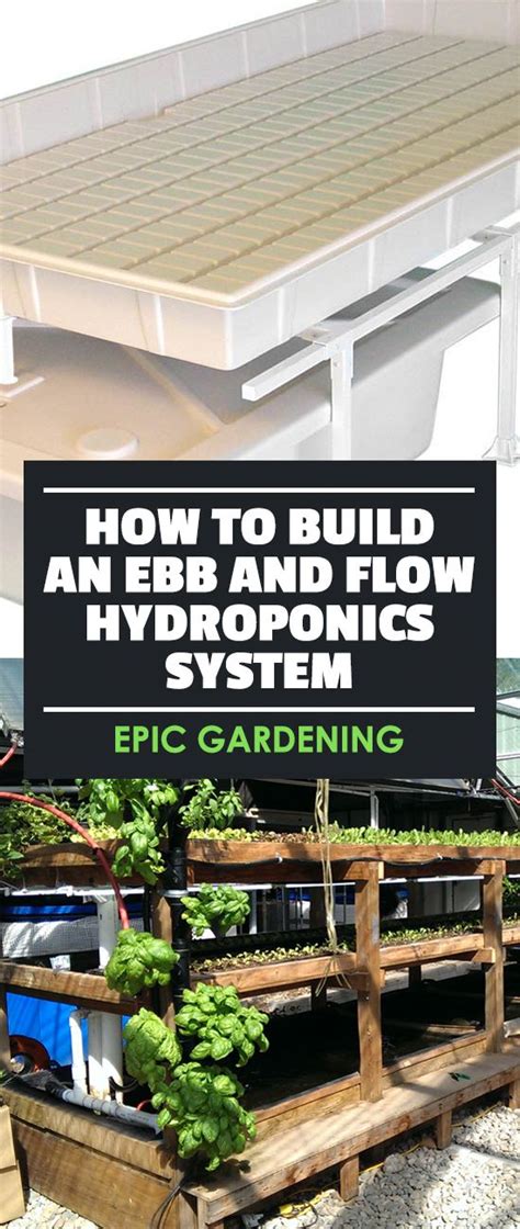 He had details on making an ebb and flow hydroponic sytem so i decided to try it … Best 25+ Ebb and flow hydroponics ideas on Pinterest | Aquaponics diy, Aquaponics system and Diy ...