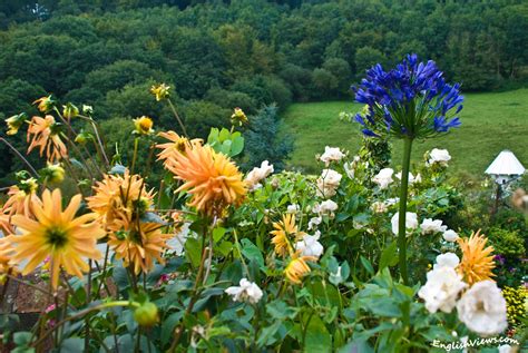 We did not find results for: Wedding Flowers: flowers and trees