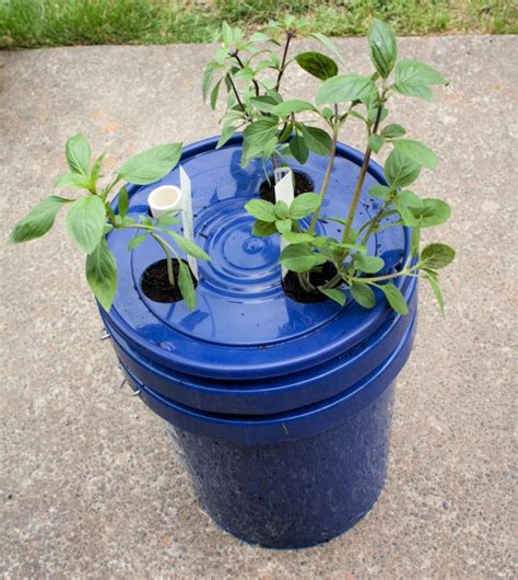 30 Homemade Diy Self Watering Planter Ideas Suite 101