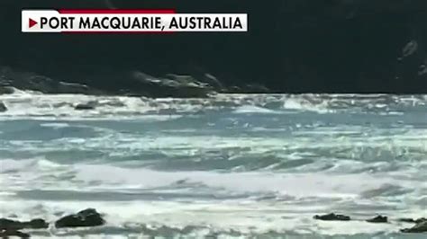 Australian Man Punches 10 Foot Great White Shark After Wife Attacked