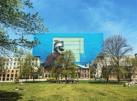 Art Gallery Of Ontario Launches 35 Annual Pass Canadian Art