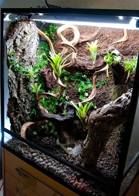 Vivstanksterrariums Geckos Unlimited Gecko Vivarium Crested