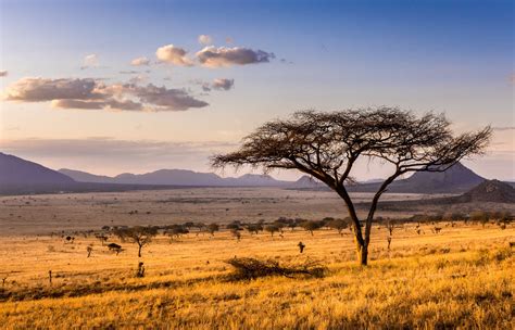 Tsavo National Park Tips Voor Deze Must Visit In Kenia Reis Expertnl