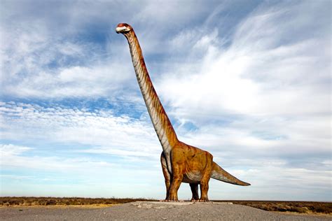Why The Worlds Biggest Dinosaurs Keep Getting Cut Down To Size Jkdawn