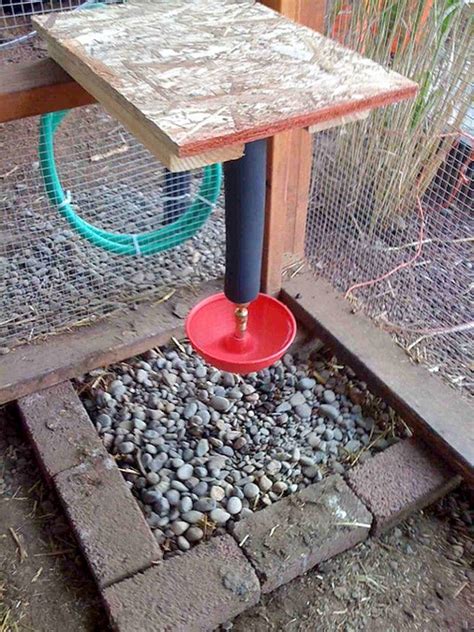 Automatic Chicken Feeder Diy Share Free Plans For Automatic Chicken