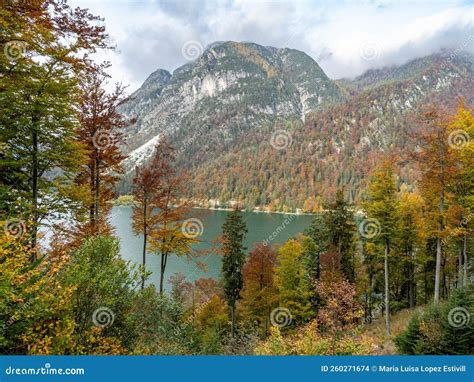 Predil Lake Julian Alps Italy Stock Photo Image Of Julian