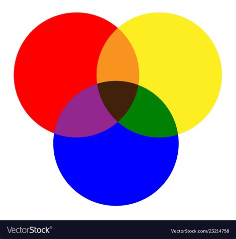 Primary Colors Of Red Yellow Blue And Mixing Vector Image