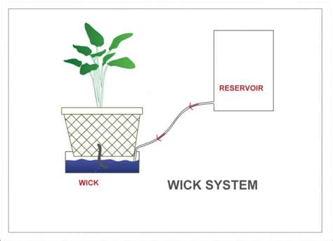 Autopot Hydroponics Free Plans For A Wick System