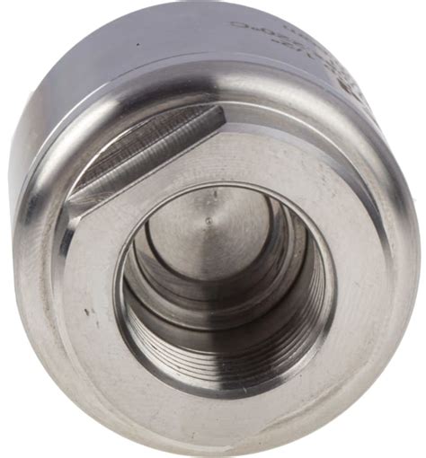 Rs Pro Rs Pro Stainless Steel Single Non Return Valve Bsp 12in 25