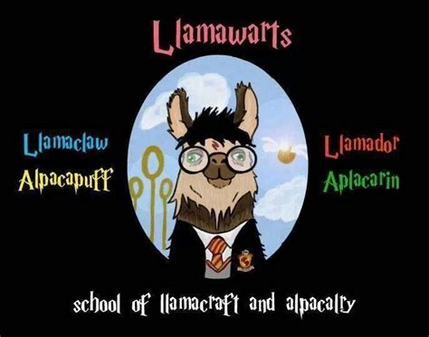 Two Of My Favorite Things Harry Potter And Llamas