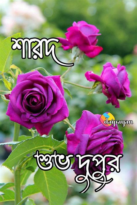 Pin By Sumita Das On শুভ দুপুর Good Morning Beautiful Flowers Beautiful