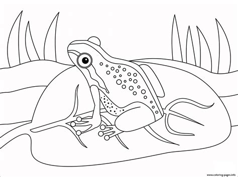 Frog Animal Simple Coloring Page Printable