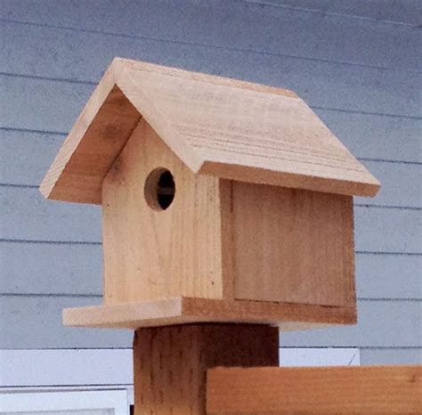 The ornithologist also explains why the decorative bird houses you buy from your local knickknack store isn't always best for the birds. Build a Cedar Birdhouse for $2 | Ana White