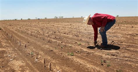 Enormous Fertilizer Shortage Spells Disaster For Global Food Crisis