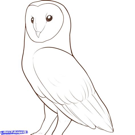 Easy Owl Drawing Step By Step At Explore Collection Of Easy Owl Drawing