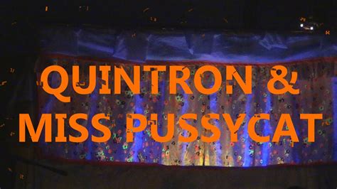 Quintron Miss Pussycat Secret Project Robot June Youtube