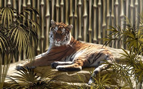 Bamboo Tiger By Frankief On Deviantart