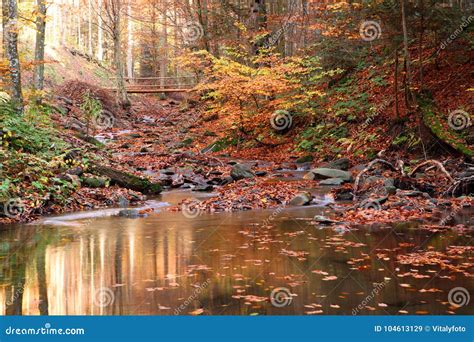 A Small Pond On The Stream In The Autumn Forest Stock Image Image Of