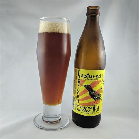 The invasive species working group (iswg) is a charter working group of the. Beer: Invasive Species - The Beers Beer