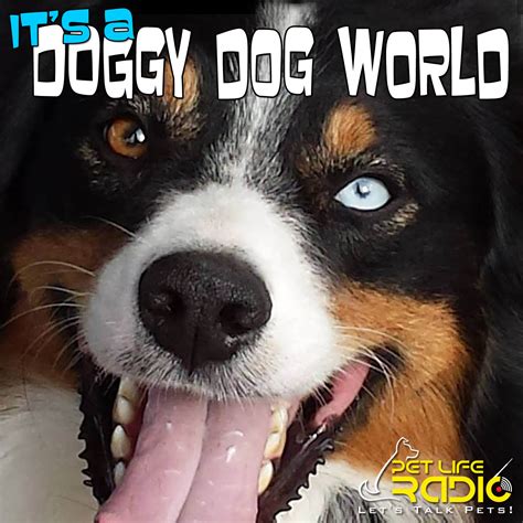 Its A Doggy Dog World Dog Podcast About Dogs As Pets And Caring For