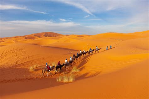 Excursions Dans Le Désert Au Départ De Marrakech Conseils De Voyage à