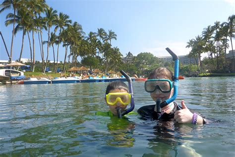 Snorkeling On The Big Island Of Hawaii Best Spots For Families And Kids