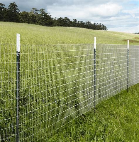Cheap Easy Dog Fence With 3 Popular Dog Fence Options Modern Design 9