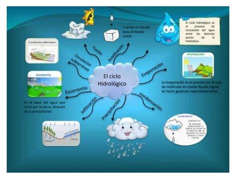 Mapa Mental Del Ciclo Del Agua 4 UDocz