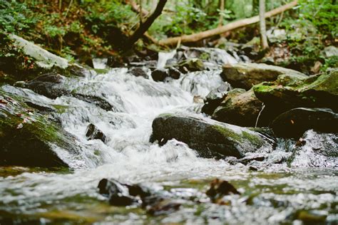 River Flowing · Free Stock Photo