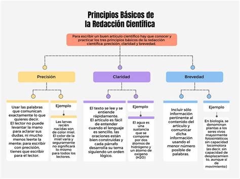 Principios Básicos De La Redacción Científica Alejandra Vasquez Udocz