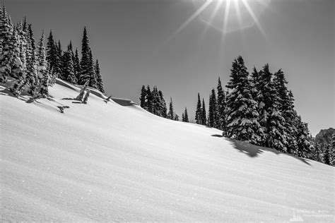 Sunny Winter Day Paradise Mount Rainier Washington 2017