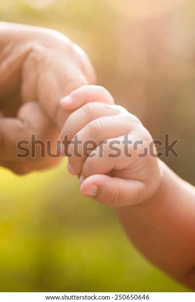 Baby Hand Holding Mother Finger Stock Photo 250650646 Shutterstock