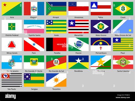 Vector Illustration Of Different Countries Flags Set All Flags States