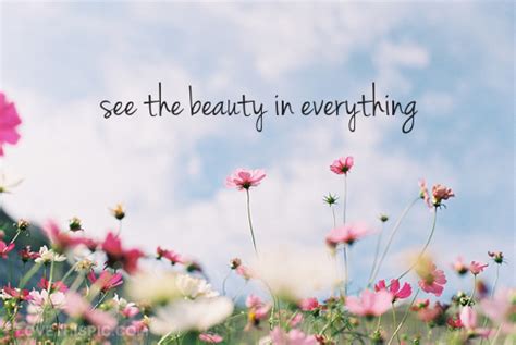 Find Beauty In Everything Quotes Quotesgram