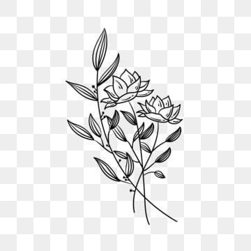Desenho De Preto E Branco Mão Desenhadas Flores Com Ramo Oliveira PNG