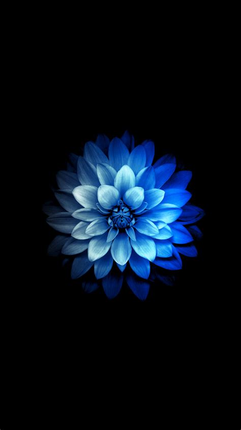 Abstract Flower Iphone 7 Wallpaper 750x1334