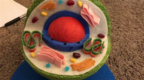 We did not find results for: School Project 3d Animal Cell Model | Wiring Schematic ...