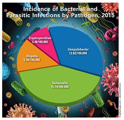 The organisms can be transferred from person to person by both direct (via saliva, fecal/oral spread, kissing) and indirect contact (for example, using contaminated eating utensils). Incidence of Foodborne Illness