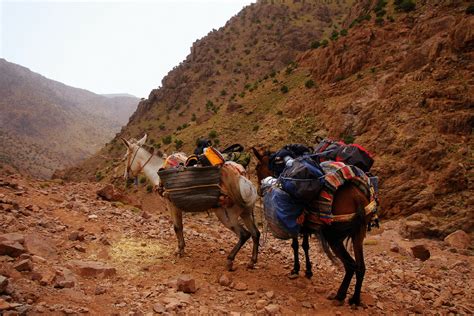 5 Hikes You Should Take In Morocco Marocmama