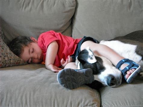 Nap Time For Kids And Their Dogs Cuteness Overflow