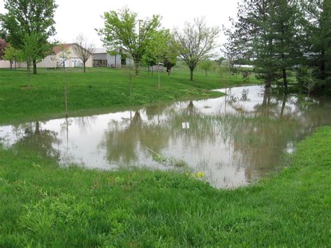 • it can be designed to fit a wide variety of sites and Detention basins could catch more than stormwater ...