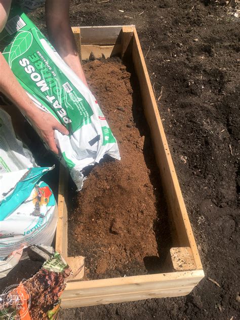A raised garden bed is simply a plot of soil that is placed above the surrounding or existing soil and it is often enclosed by wooden planks. best soil mixture for raised garden beds DIY raised garden ...