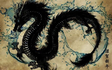 Chinese Water Dragon By Briellecoppola On Deviantart Chinese Water