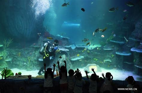 Sea Life Aquarium Opens Doors To Its Newest And Only Location In China Awesome Ocean
