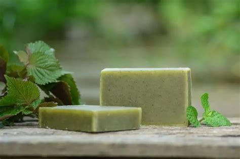 The History Of Soap Who Invented Soap All Facts In Less Than 10 Minutes