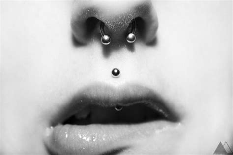 septum and medusa for me the most fun piercings piercing no nariz septo piercing no nariz