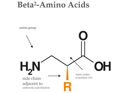 Beta2 Amino Acids Synthesis Approaches And Compounds Chiroblock Chiroblock Gmbh Sneaker Goes