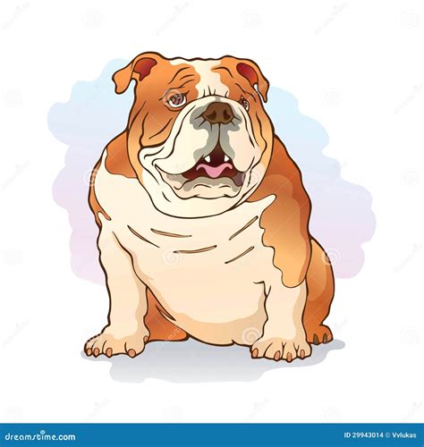 Illustration Of English Bulldog Stock Images Image 29943014