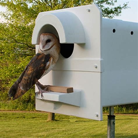 Screech Owl Nest Box Barn Owl Box Company